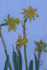 Painting titled "Tete a tete daffodi…" by Joan Cole, Original Artwork, Oil