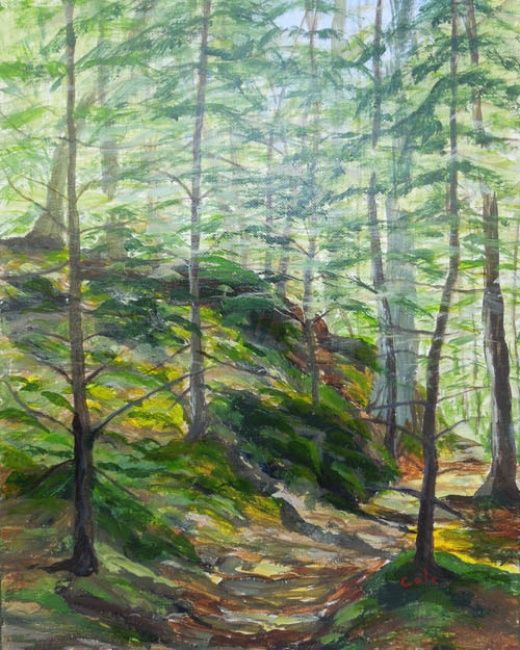 Malerei mit dem Titel "Cathedral Woods Rev…" von Joan Cole, Original-Kunstwerk