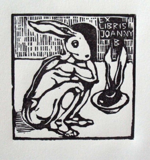 Dessin intitulée "White rabbit" par Joanna Budzyńska, Œuvre d'art originale, Autre