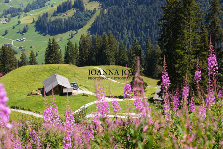 Фотография под названием "Gstaad" - Joanna Joy Photography, Подлинное произведение искусства, Цифровая фотография