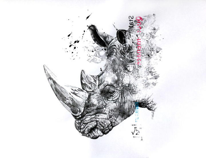 Rysunek zatytułowany „Rhino” autorstwa Joanna Zurek, Oryginalna praca, Ołówek
