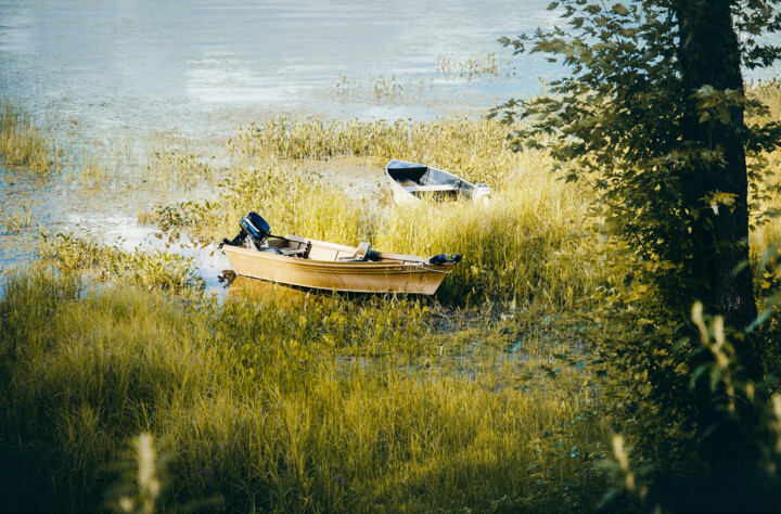 摄影 标题为“Après-midi au lac.” 由Joanne Lemay, 原创艺术品, 数码摄影