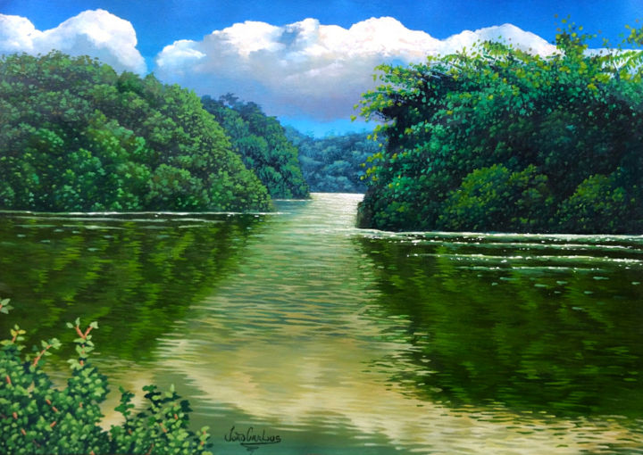 Pintura intitulada "rio pardo" por João Carlos, Obras de arte originais, Óleo