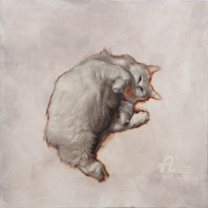 Картина под названием "Gato" - Joaquín Maximiliano Martínez, Подлинное произведение искусства, Масло