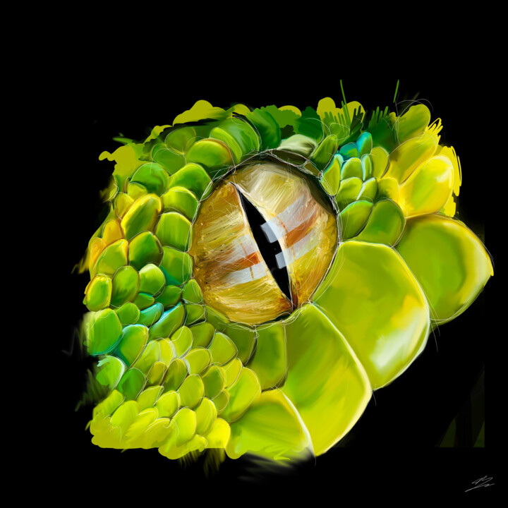 Digitale Kunst getiteld "2/4 Oeil serpent" door Jocelyn Bouget (crealab), Origineel Kunstwerk, Digitaal Schilderwerk