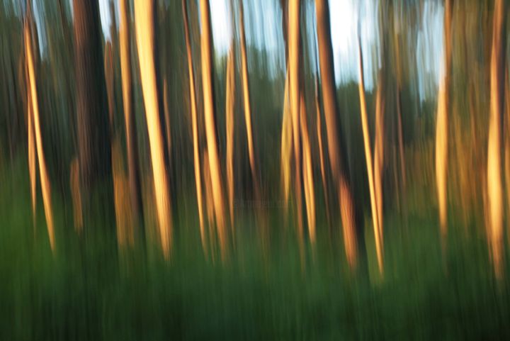 Photography titled "flou forêt landaise" by Josette Lanusse, Original Artwork, Digital Photography