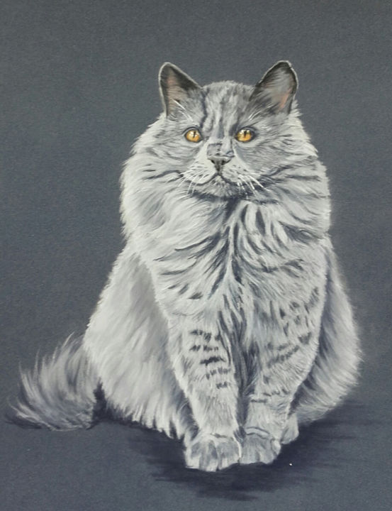 Chat Persan Gris Painting By Joelle Guillaume Artmajeur Chat Persan Gris Painting By Joelle Guillaume Artmajeur