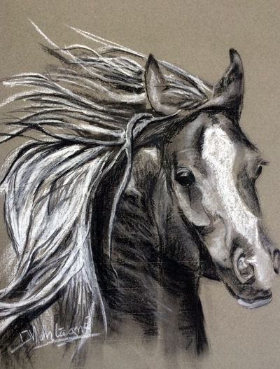 Dessin intitulée "Cheval 8" par Joëlle Montagné, Œuvre d'art originale, Fusain