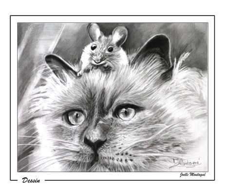 Рисунок под названием "Le chat et la souris" - Joëlle Montagné, Подлинное произведение искусства, Карандаш