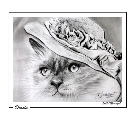 Рисунок под названием "Le chat et le chape…" - Joëlle Montagné, Подлинное произведение искусства, Карандаш