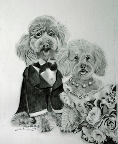 Рисунок под названием "Un couple de chien" - Joëlle Montagné, Подлинное произведение искусства, Карандаш