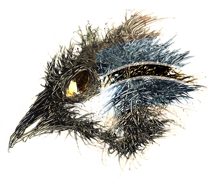 Artes digitais intitulada "Pandemi Bird Botswa…" por Johann Sidlo, Obras de arte originais, Pintura digital