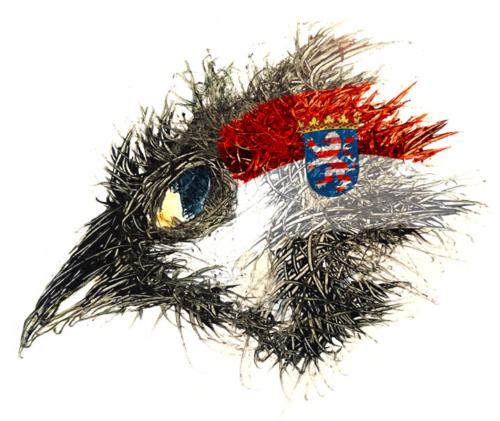数字艺术 标题为“Pandemi Bird Hessen” 由Johann Sidlo, 原创艺术品, 数字油画