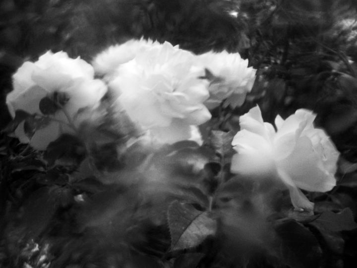 Фотография под названием "paysage 10" - Johanna Bouvarel, Подлинное произведение искусства, Цифровая фотография