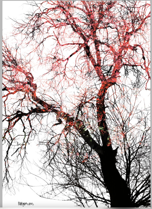 Digital Arts με τίτλο "Branch Out 2" από John Calder Gunn, Αυθεντικά έργα τέχνης, Ψηφιακό Κολάζ