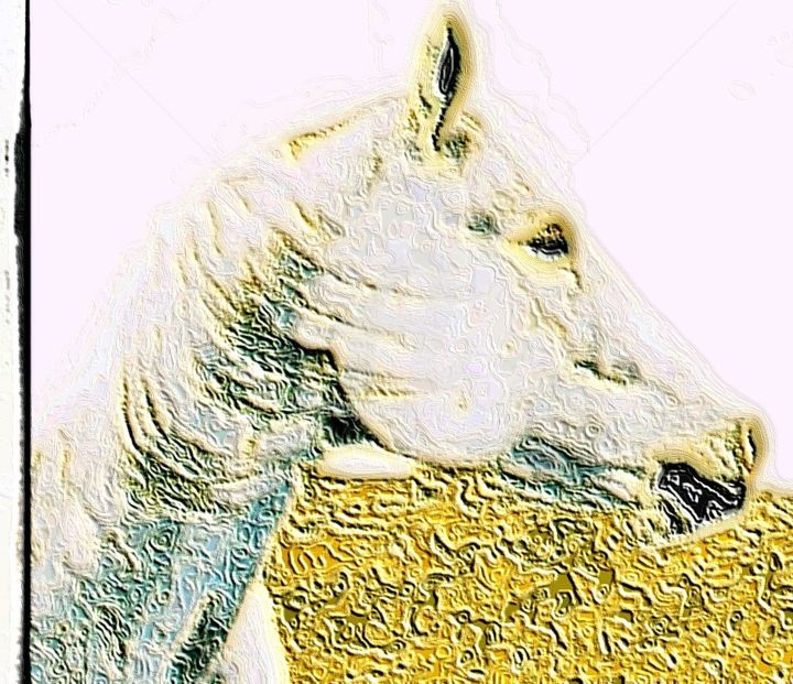 Digital Arts titled "horse" by J.Jokko, Original Artwork, Digital Painting