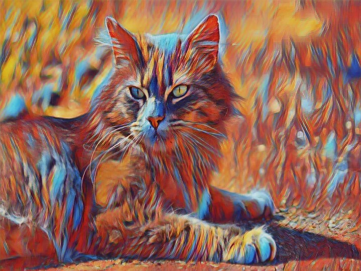 Arts numériques intitulée "Cat - a pet - Chat…" par John Mailly, Œuvre d'art originale, Travail numérique 2D