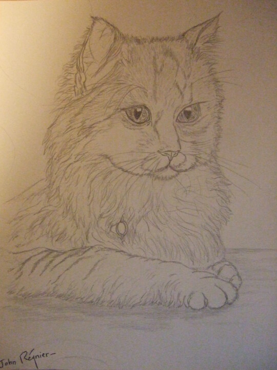 Dessin intitulée "Portrait de chat" par John Regnier, Œuvre d'art originale, Crayon