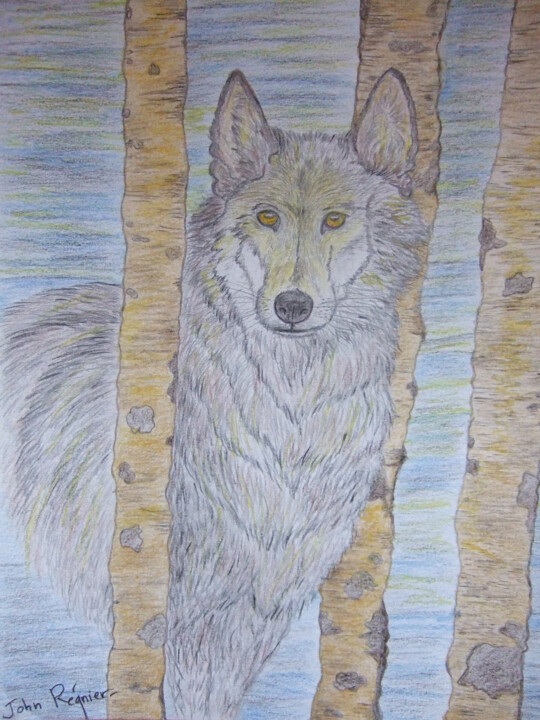 Dessin intitulée "Loup" par John Regnier, Œuvre d'art originale, Crayon