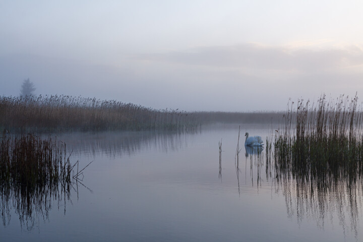 Fotografie getiteld "Morning Lake With S…" door John Furnes, Origineel Kunstwerk, Digitale fotografie