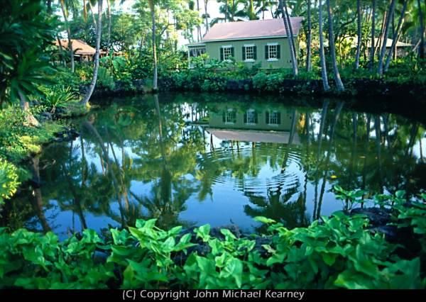 Photography titled "Hawaii Pond" by John Michael Kearney, Original Artwork