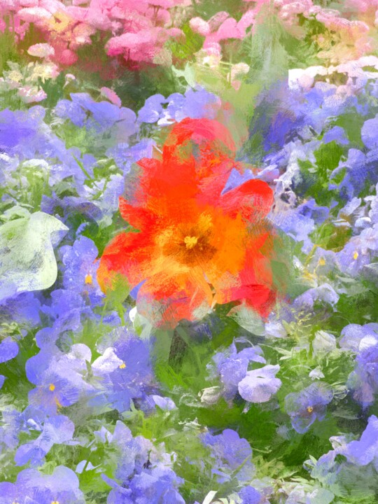 Digital Arts titled "Tulipa" by Jokannan, Original Artwork, Digital Painting