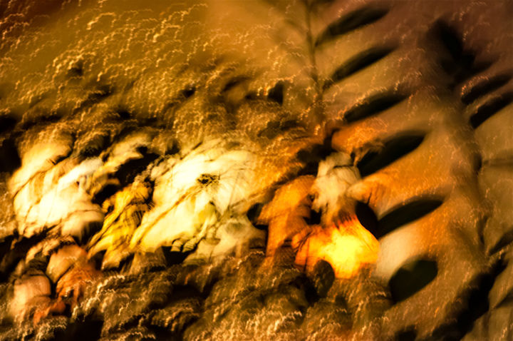 Fotografia intitulada "Dancing Lights" por Jola, Obras de arte originais, Fotografia digital