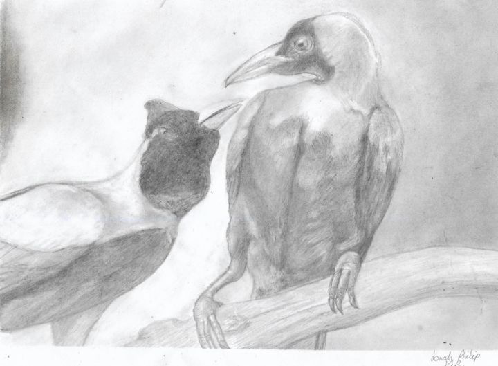 Drawing titled "The Bird Of Paradise" by Jonah Philip, Original Artwork, Graphite