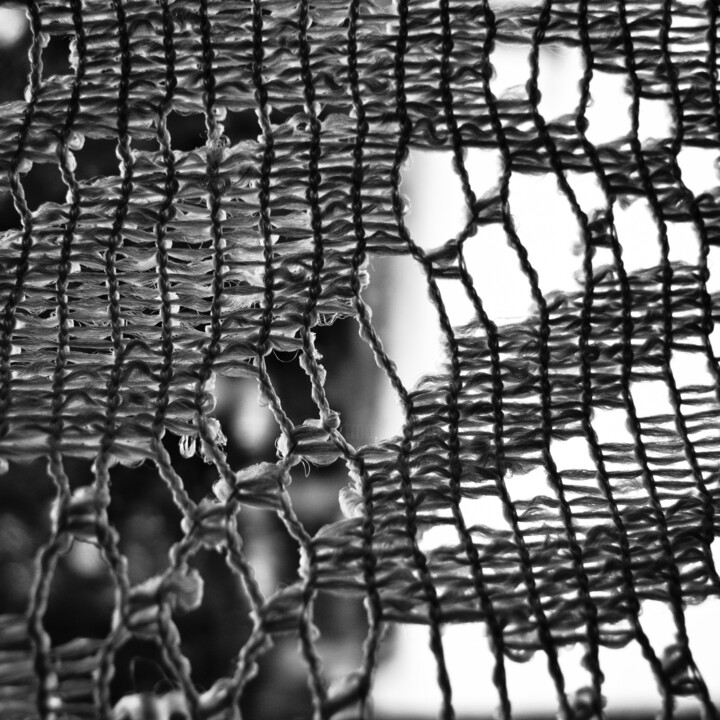 Photographie intitulée "Emaille" par Jonathan Carpentier, Œuvre d'art originale, Photographie numérique
