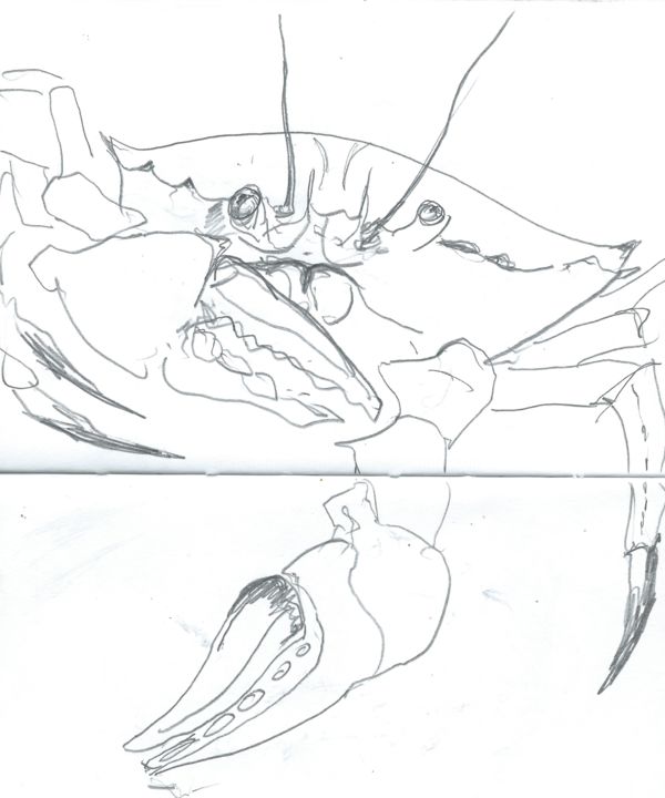 Картина под названием "crab.jpg" - Jon Phillipson Brown, Подлинное произведение искусства