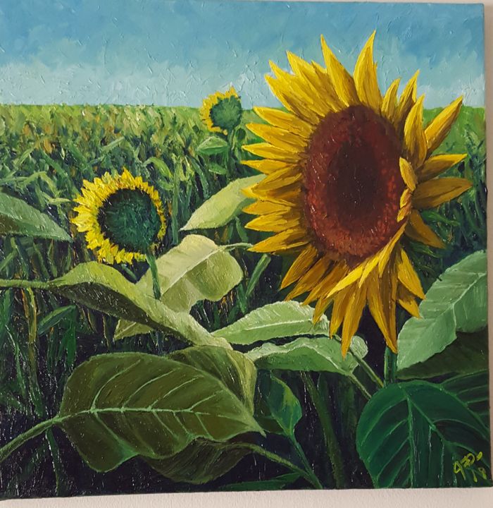 Schilderij getiteld "Girasoles" door Danilo Fortin, Origineel Kunstwerk, Olie