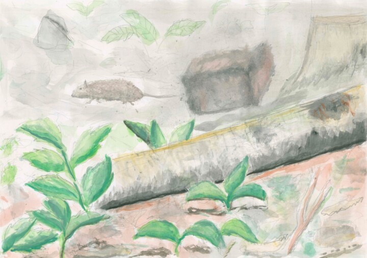 Pintura titulada "Grunnewald's Boden" por José González Marsal, Obra de arte original, Acuarela