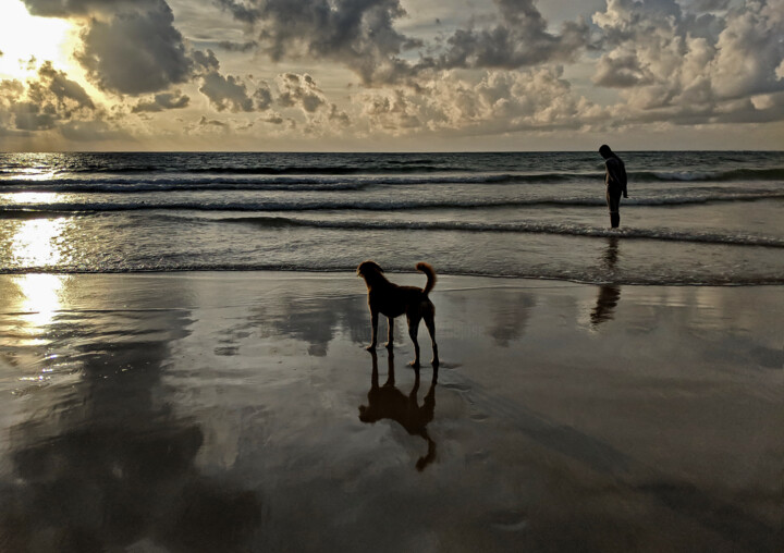 Fotografie mit dem Titel "THE DOG" von Jose Grimm, Original-Kunstwerk, Digitale Fotografie