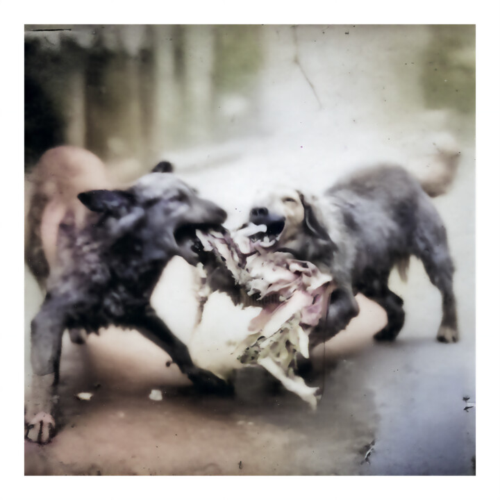 Arts numériques intitulée "STRAY DOGS" par Josep Domènech, Œuvre d'art originale, Image générée par l'IA