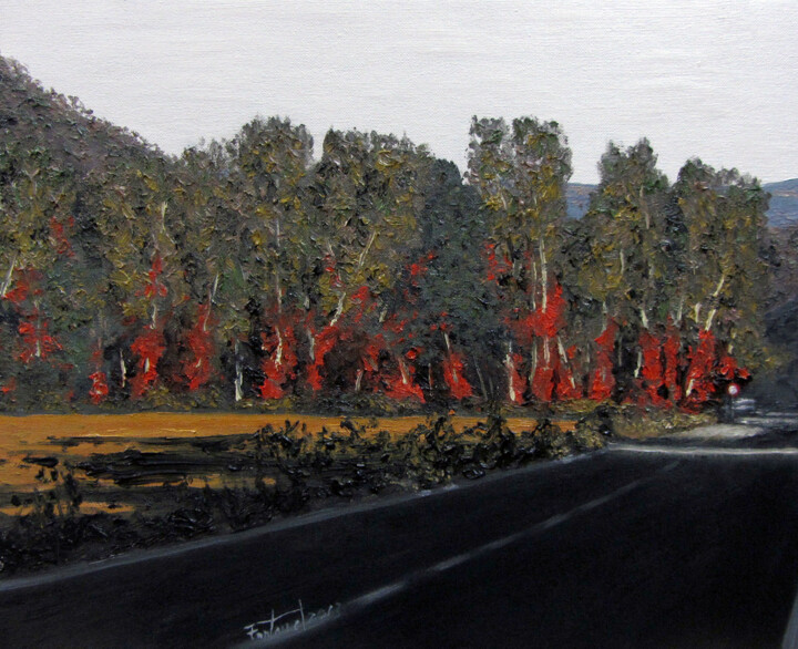 Pintura titulada "Camí d'Arbúcies" por Josep Maria Fontanet Sureda, Obra de arte original, Oleo Montado en Bastidor de camil…