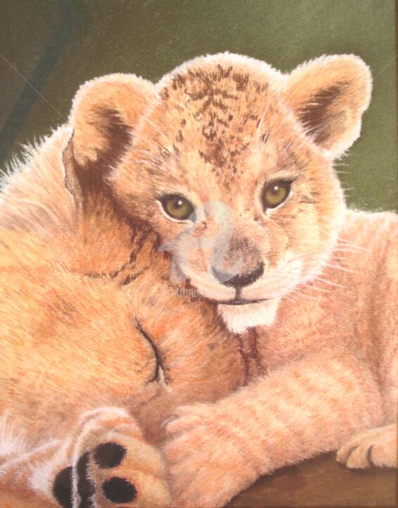 Peinture intitulée "Lionceau câlin" par Josette Roboam, Œuvre d'art originale, Pastel Monté sur Autre panneau rigide