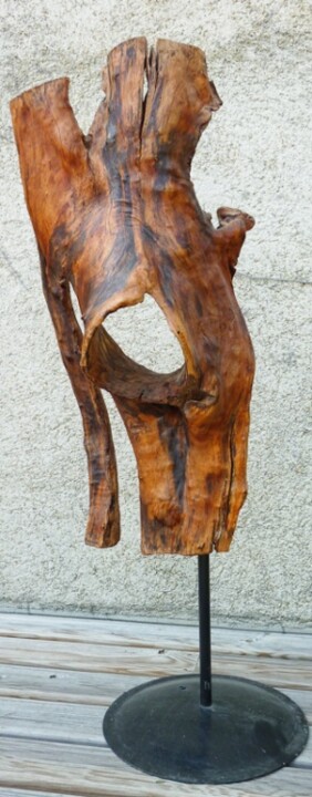 Sculpture titled "Désolation" by Josie Albertus, Original Artwork, Wood