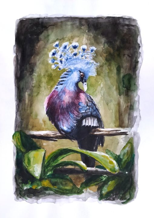 Dibujo titulada "Crowned pigeon" por Jovana Pestoric, Obra de arte original, Acuarela