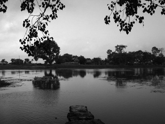 Photography titled "A Pool of Fresh Wat…" by Joy Roy Choudhury, Original Art,