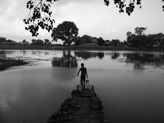 Fotografia intitolato "A Pool of Fresh Wat…" da Joy Roy Choudhury, Opera d'arte originale