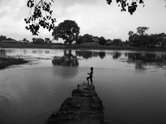 Фотография под названием "A Pool of Fresh Wat…" - Joy Roy Choudhury, Подлинное произведение искусства