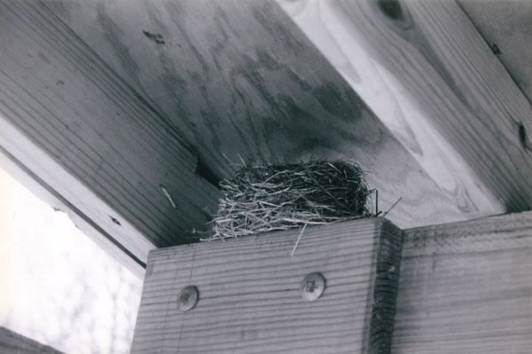 Photographie intitulée "Nest in a corner" par Sarah Fox, Œuvre d'art originale