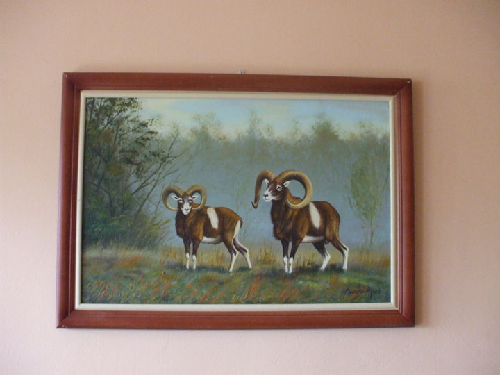 Painting titled "Mouflons" by József Darkó-Apor, Original Artwork, Oil