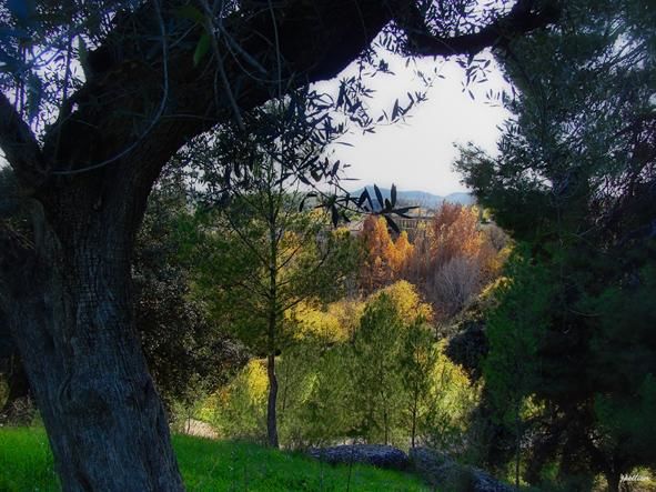 "Momentos de Magia" başlıklı Fotoğraf Jpellicer tarafından, Orijinal sanat, Diğer