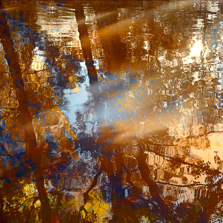 Photographie intitulée "Un beau brun d'eau" par Jean Pierre Fleury, Œuvre d'art originale, Photographie numérique