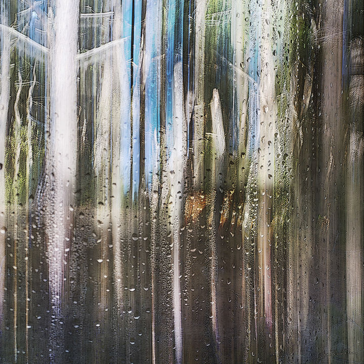 Photographie intitulée "La forêt humide" par Jean Pierre Fleury, Œuvre d'art originale, Photographie numérique