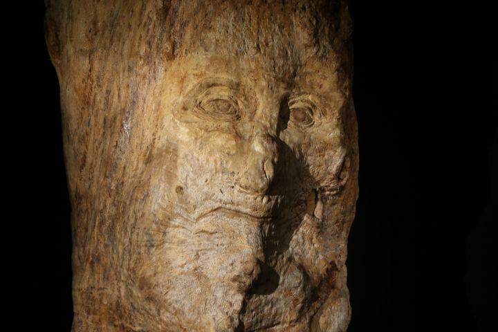 Sculpture titled "Ancient-man. (anciã…" by José Paulo Pereira Fernandes, Original Artwork, Wood
