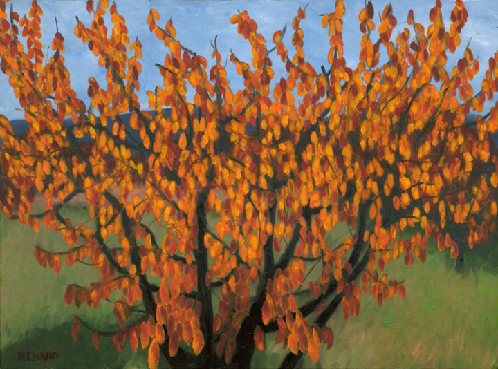 Peinture intitulée "Feuilles d'automne…" par Renand, Œuvre d'art originale, Huile