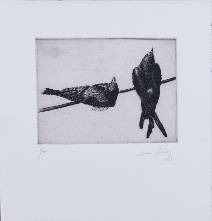 Printmaking titled "Swallows" by Juan Álvarez Cebrián, Original Artwork, Etching