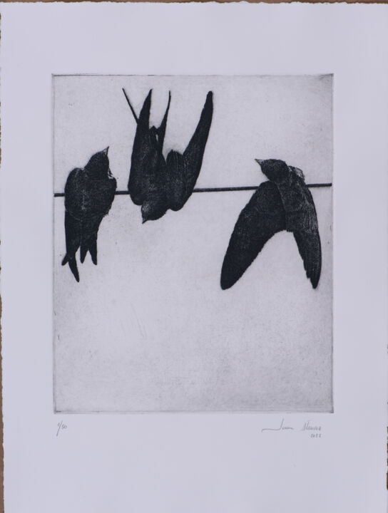 Отпечатки и Гравюры под названием "Swallows I" - Juan Álvarez Cebrián, Подлинное произведение искусства, Травление